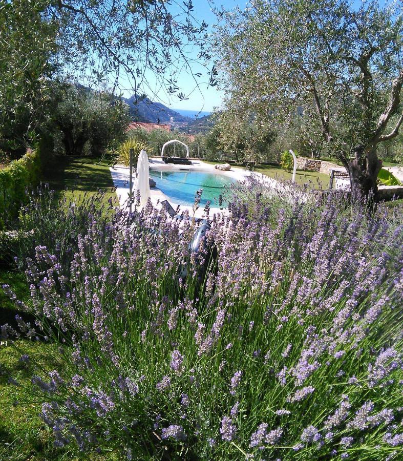 Bed and Breakfast La Cicala Stonata à Dolceacqua Extérieur photo