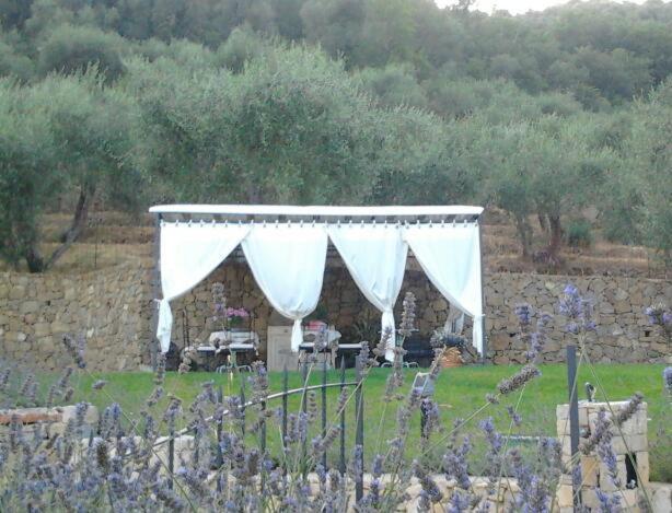 Bed and Breakfast La Cicala Stonata à Dolceacqua Extérieur photo