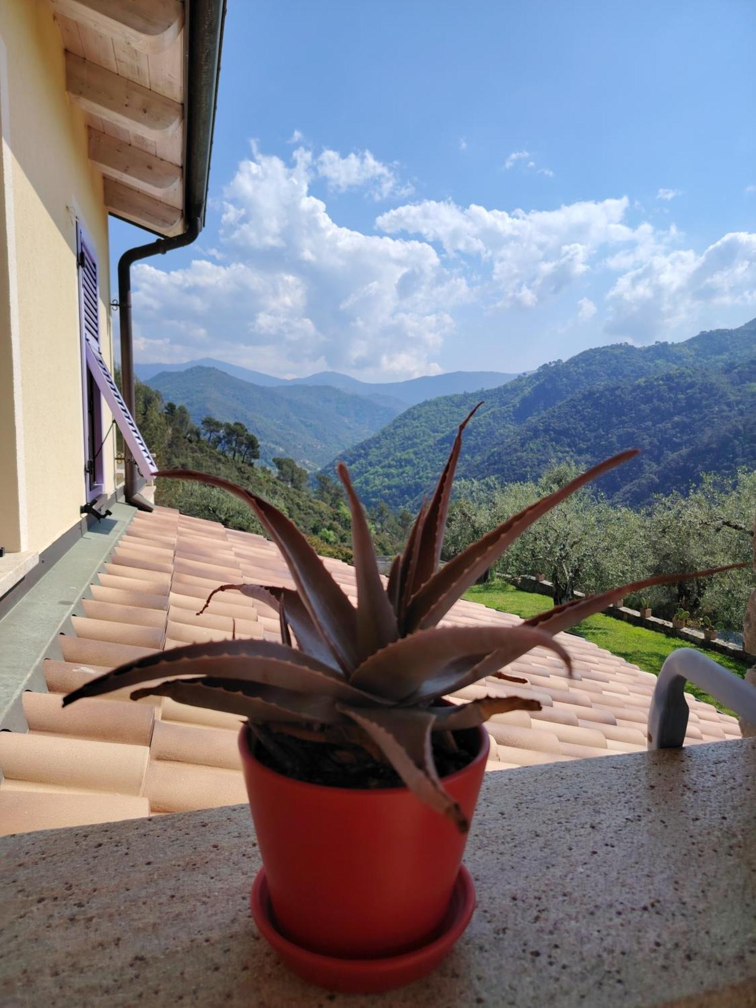 Bed and Breakfast La Cicala Stonata à Dolceacqua Extérieur photo